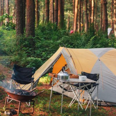 Extra-Large Waterproof Camping Mat, 240cm x 240cm Portable Foldable Outdoor Picnic, Tent, Beach and Park Mat